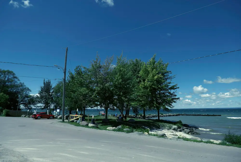 Quiet lakeshore road with mature trees beside Lake Simcoe on a clear day