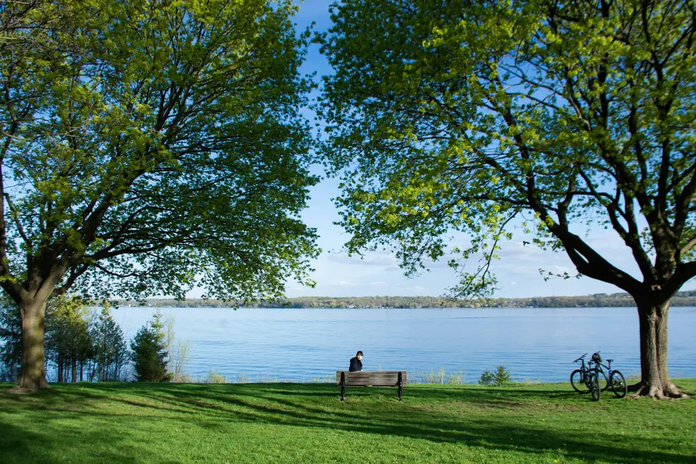 Lakeside park on Lake Simcoe with mature trees and a bench facing the water