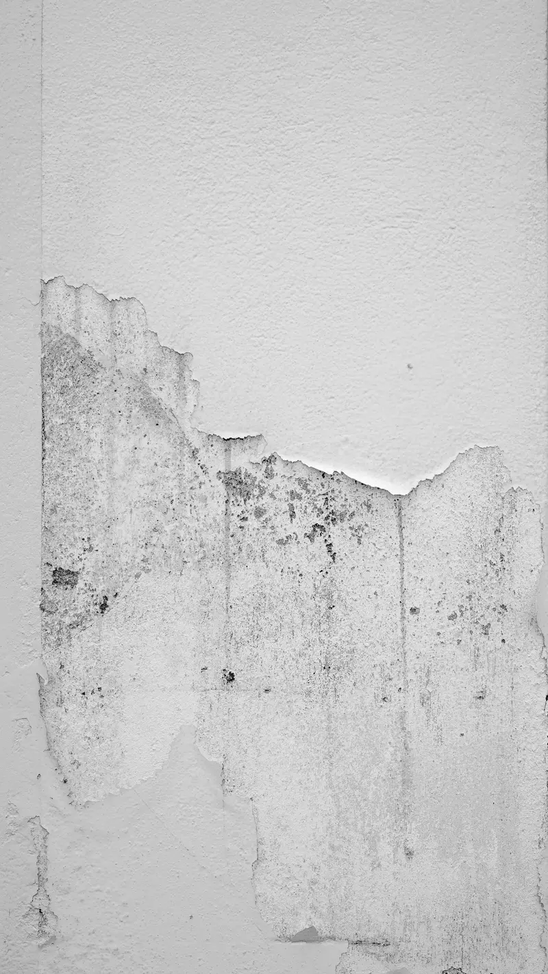 White paint peeling and flaking off a damp basement wall with dark mould spots