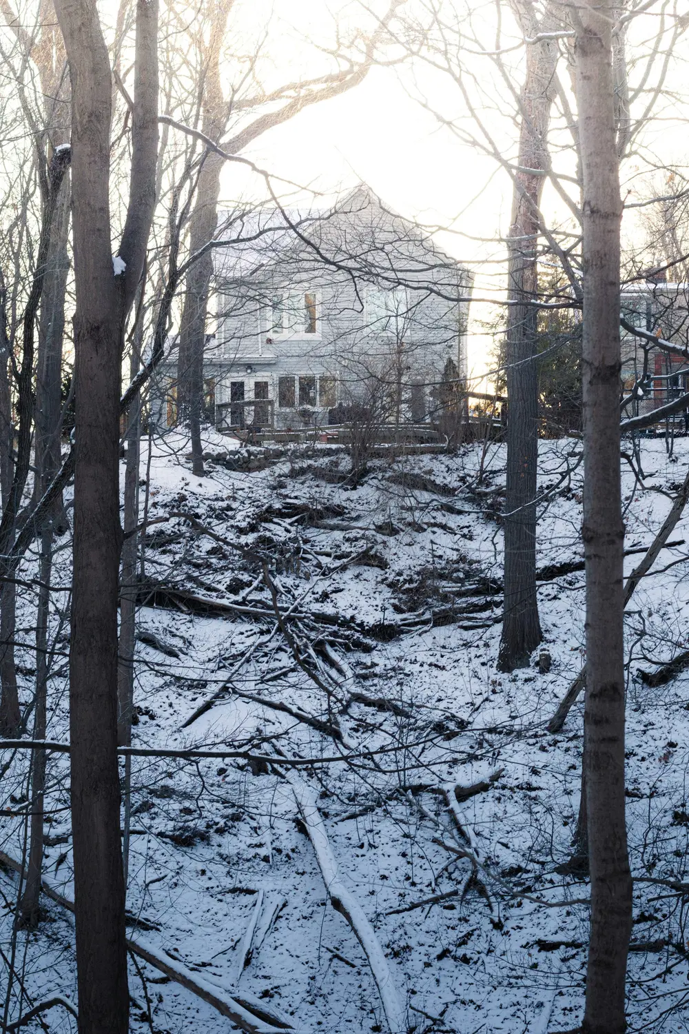 Melting snow and bare trees around a house in early spring