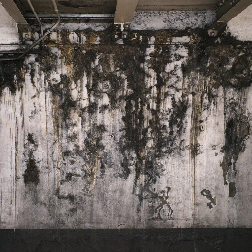 Concrete wall streaked with dark black water staining running down from the top